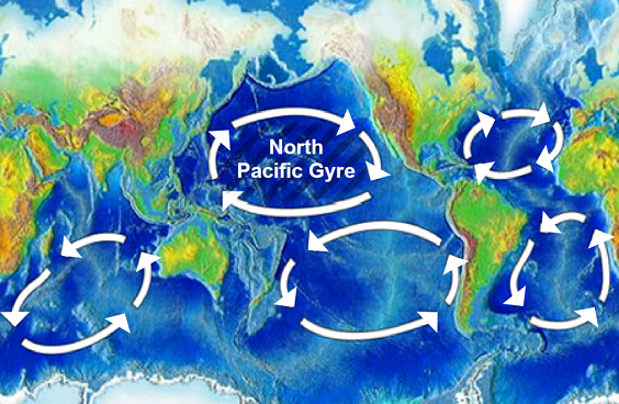 1024px-North_Pacific_Gyre_World_Map.png