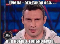 Кличко; Пчела - это оса.png