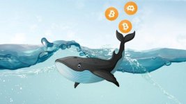 Крипто-киты вывели сегодня с OKEx и Bitfinex $66 млн на свои кошельки