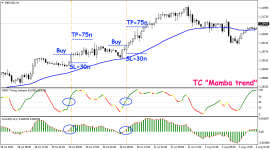 Торговая стратегия «Mamba trend»