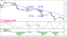 Торговая стратегия «Mamba trend»