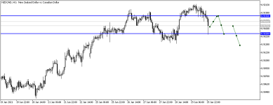 NZDCADH1.png