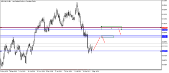 NZDCADDaily.png